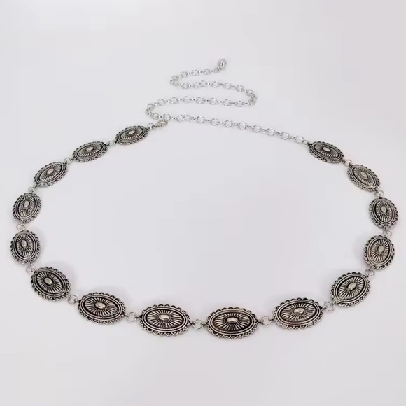Vintage Silver Medallion Chain Belt main image 5